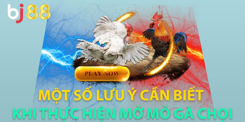 Lưu ý cần biết khi thực hiện các cách mở mỏ gà chọi