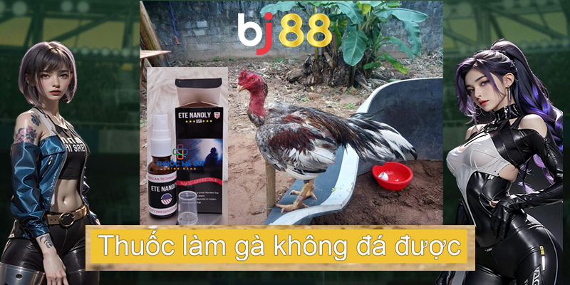 Vì sao thuốc làm gà không đá được được sử dụng nhiều?